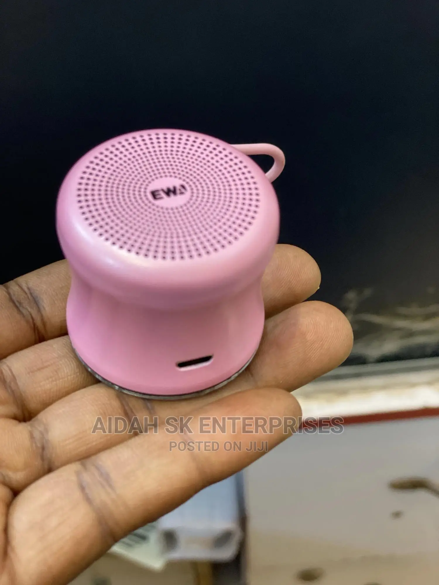 Ewa A119 Portable Speaker