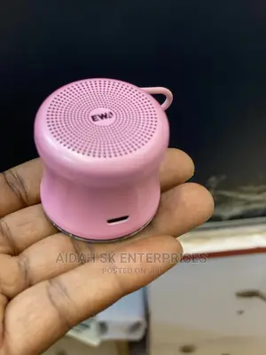 Ewa A119 Portable Speaker