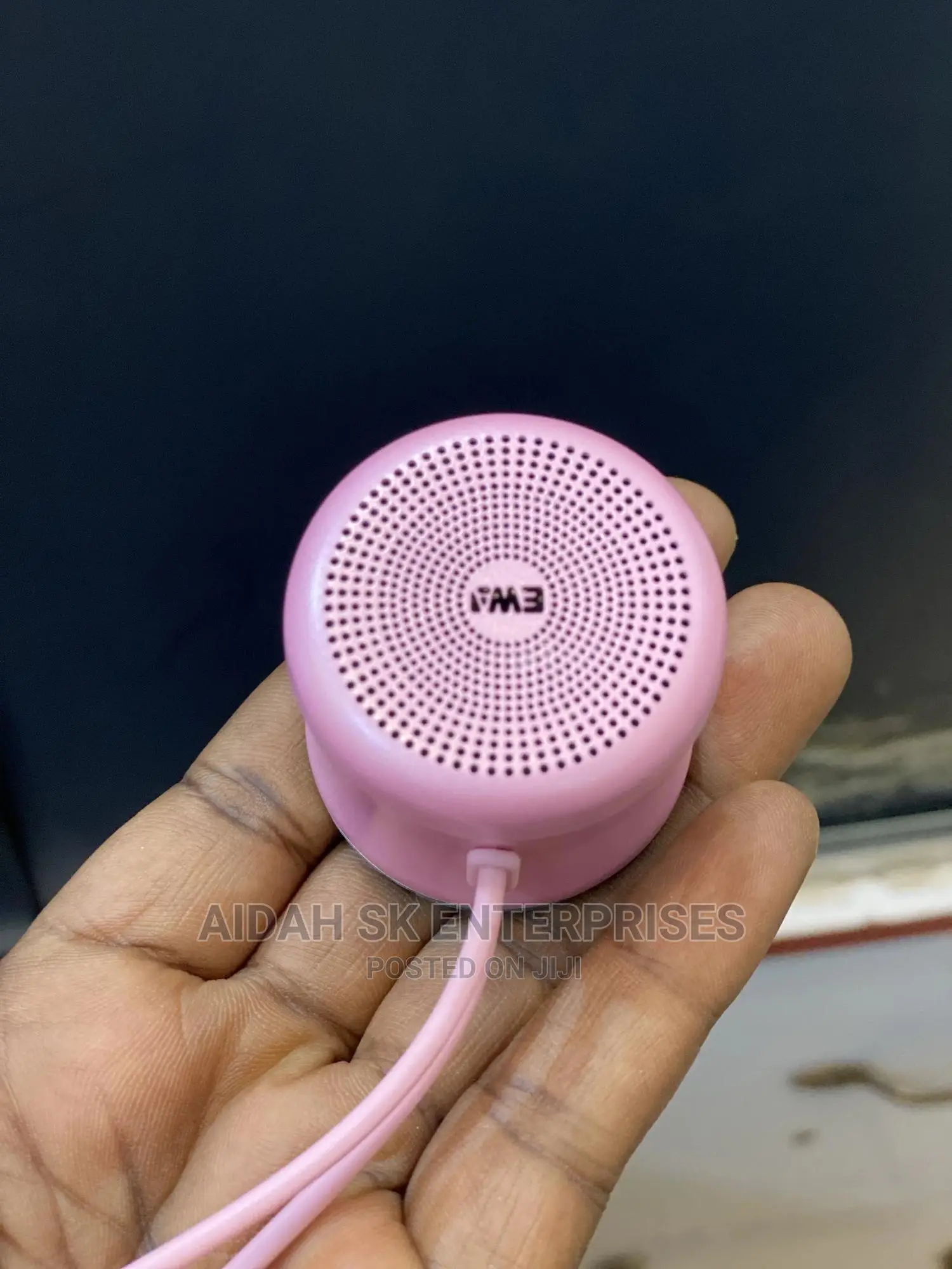 Ewa A119 Portable Speaker