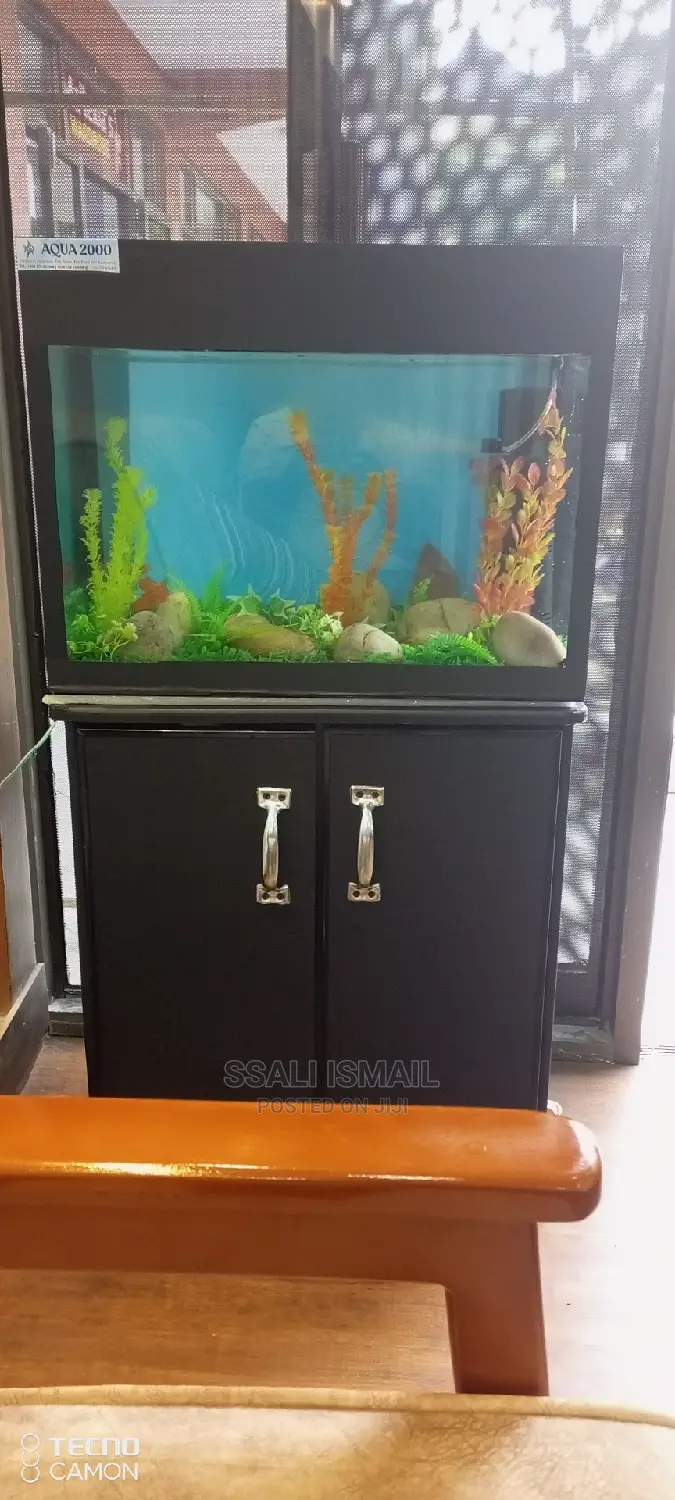 Medium Sized Beautiful Aquarium