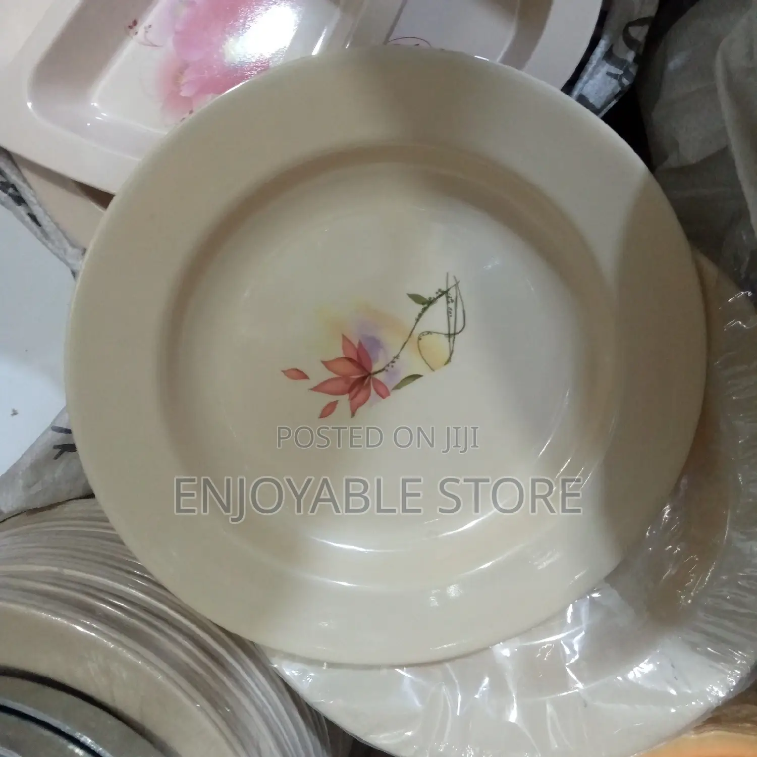 Plates 12pcs