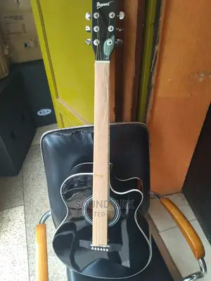 Acoustic Guitar Powered