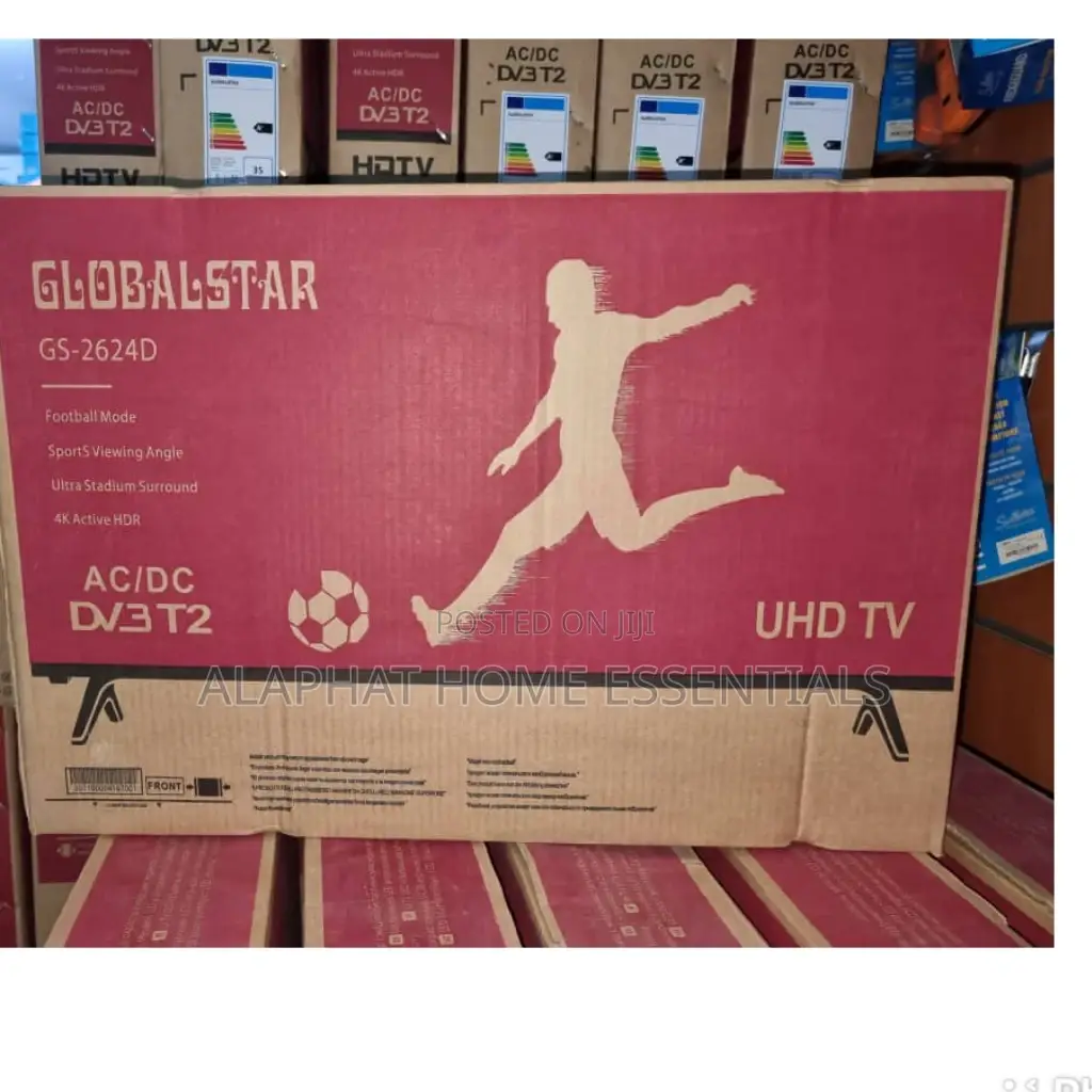 Global Star 24 Inch Digital Tv
