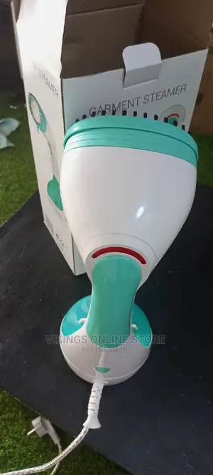 Garment Steamer.