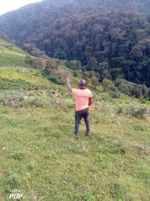 Land on Sell