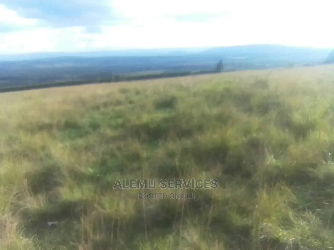 Land on Sell