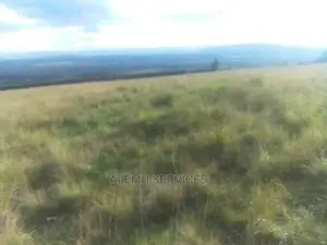 Land on Sell