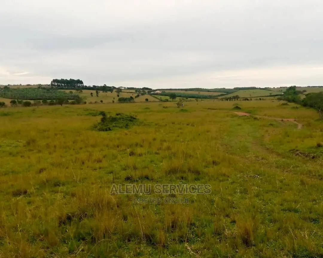 Land on Sell