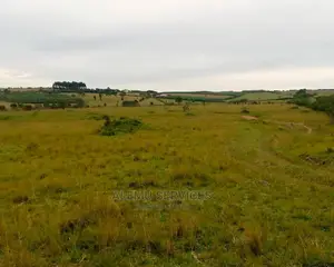 Land on Sell