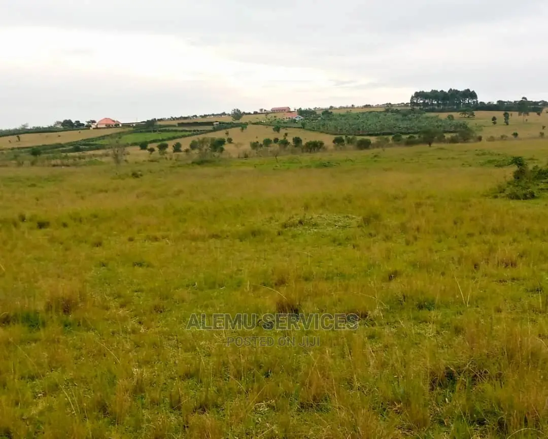 Land on Sell