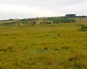 Land on Sell