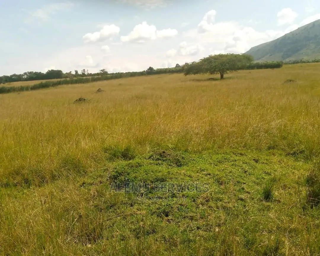 Land on Sell