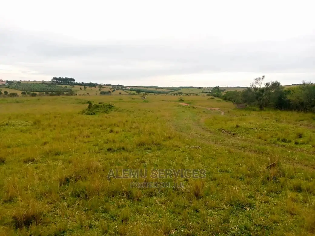 Land on Sell