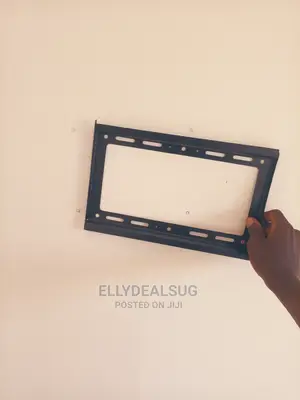 Professional TV Mounting