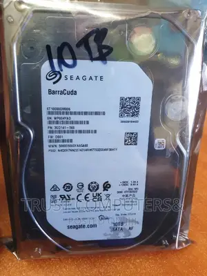 10TB Seagate Internal (Hard Drive)