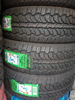 255/70r16 Lanvigator