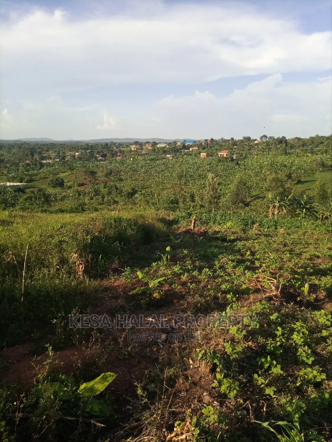 Good View Plots on Bombo Rd U Branch at Janan Sch.