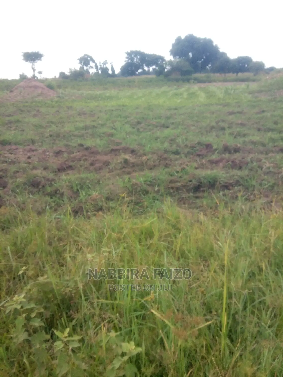 94 Acres of Land for Sale in Buyende in Kamuli Land & Plots for Sale