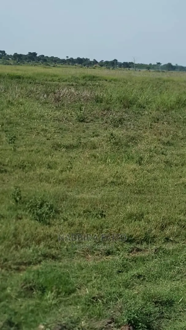 94 Acres of Land for Sale in Buyende in Kamuli Land & Plots for Sale