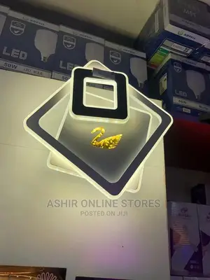 LED Ceiling /Wall Light