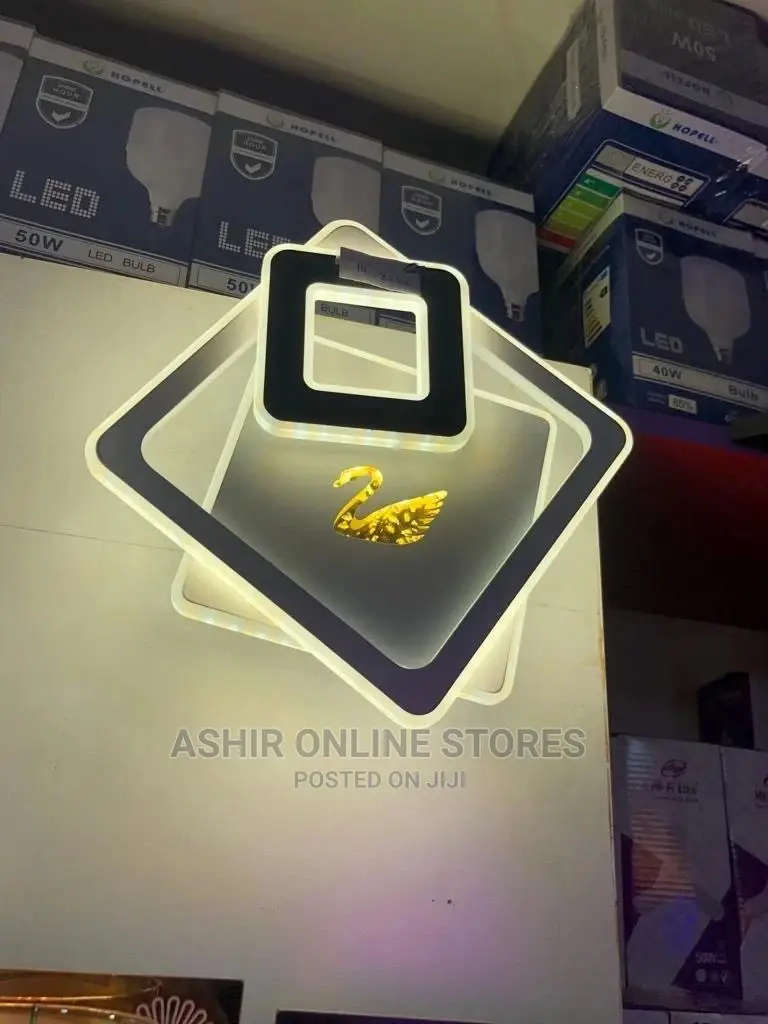 LED Ceiling /Wall Light