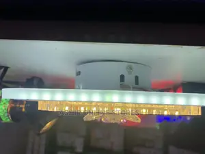 LED Ceiling /Wall Light