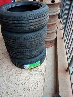 225/55r17 Kapsen