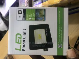 10 Watts Flood Light 1p66