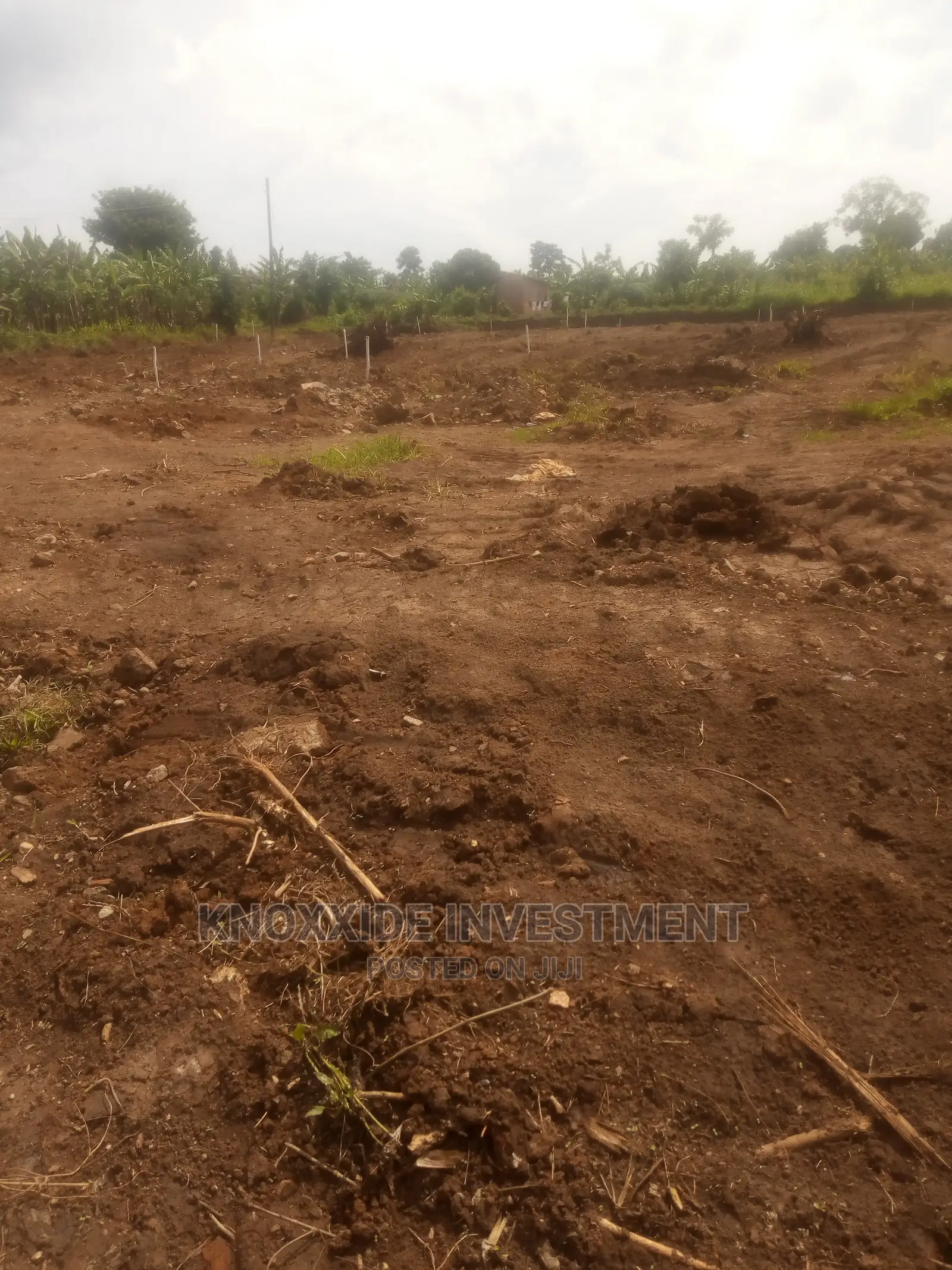 Plot for Sale 100x50ft at 24m Ugx Sentema Opp Mirembe Estate