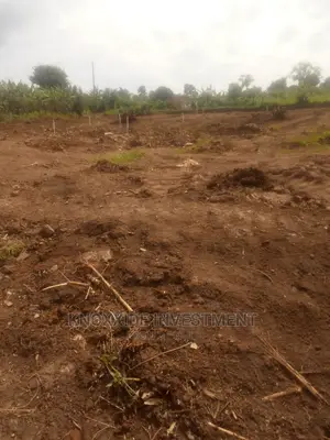 Plot for Sale 100x50ft at 24m Ugx Sentema Opp Mirembe Estate