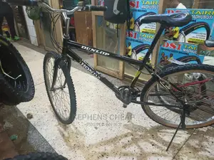 Adults Bicycle