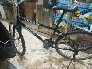 Adults Bicycle
