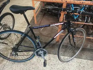Adults Bicycle Size 28