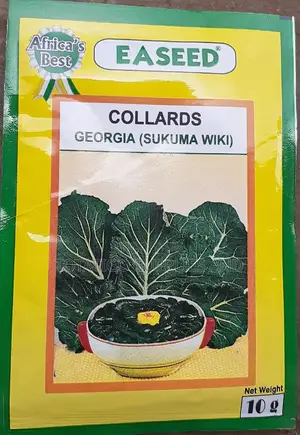 10gm Collards(Sukuma Wiki)Seeds