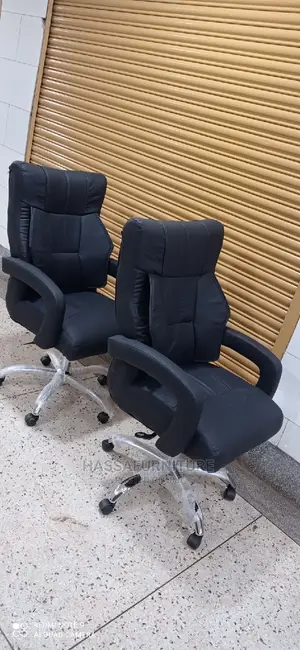 Executive Director Chair Brand New