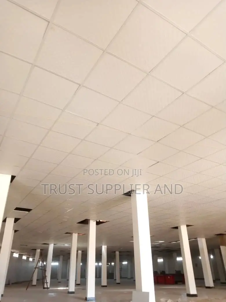 Suspended Ceiling Hall 1
