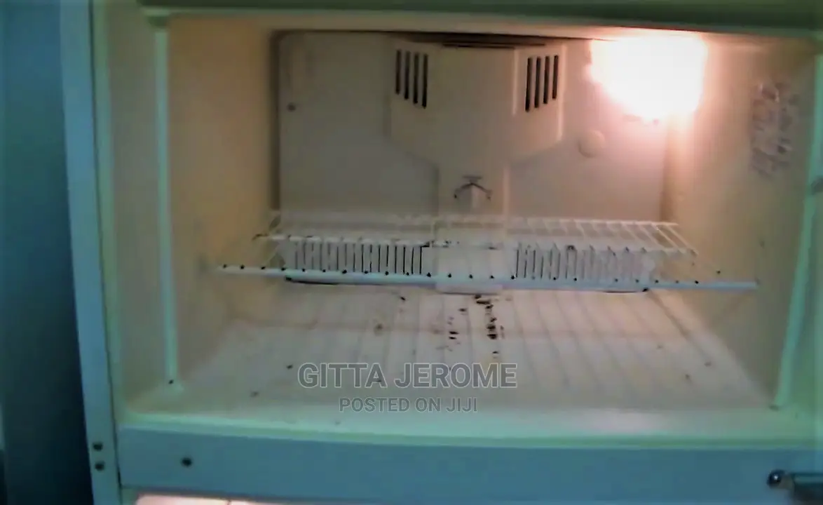 Fridge, Chest and Chill Freezer Repairs. Mechanic