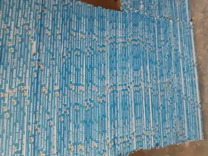 Gpsum Ceiling Boards