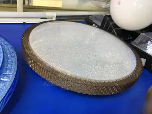 LED Ceiling Light