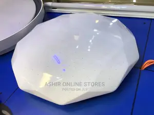 Unique Bedroom/Sitting Ceiling Light