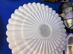 Cool LED Bedroom/Sitting Room Ceiling Light
