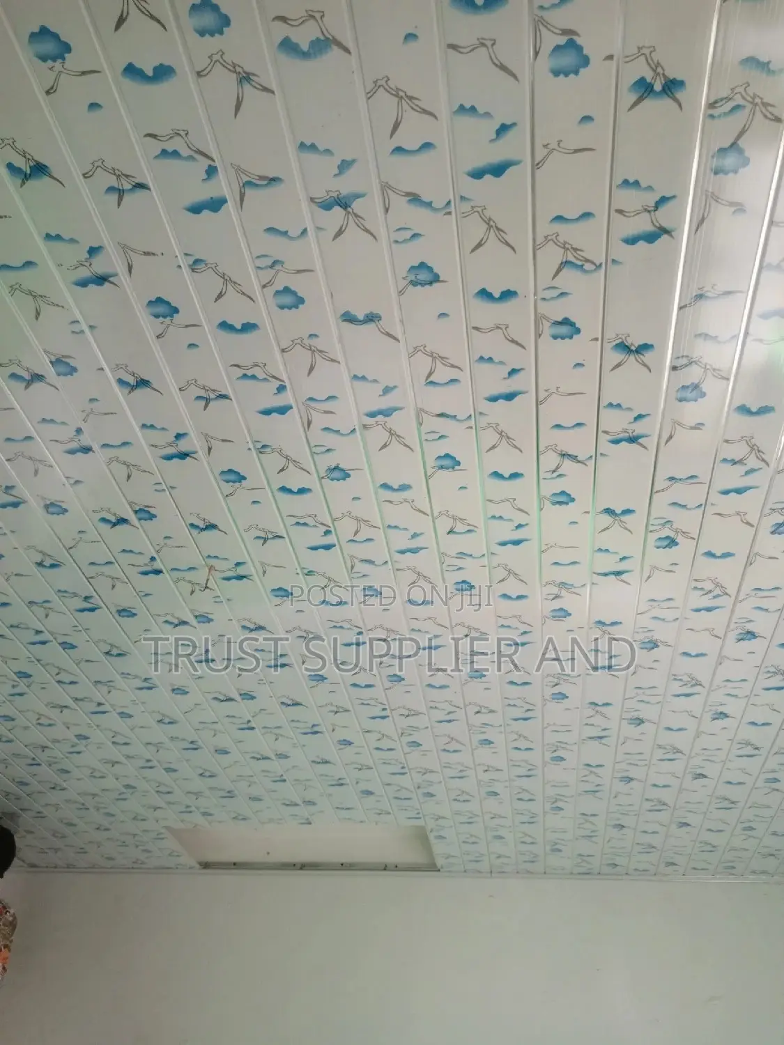 Pvc Ceiling Blue 