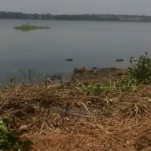 5 Acres Measurig Direct From the Lake Onsale Kawuku Ntebe Rd