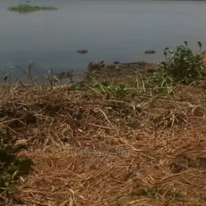 5 Acres Measurig Direct From the Lake Onsale Kawuku Ntebe Rd