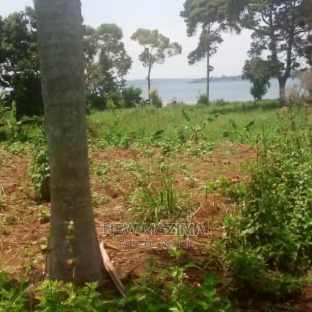5 Acres Measurig Direct From the Lake Onsale Kawuku Ntebe Rd