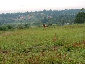 Land Title Plot in Gayaza