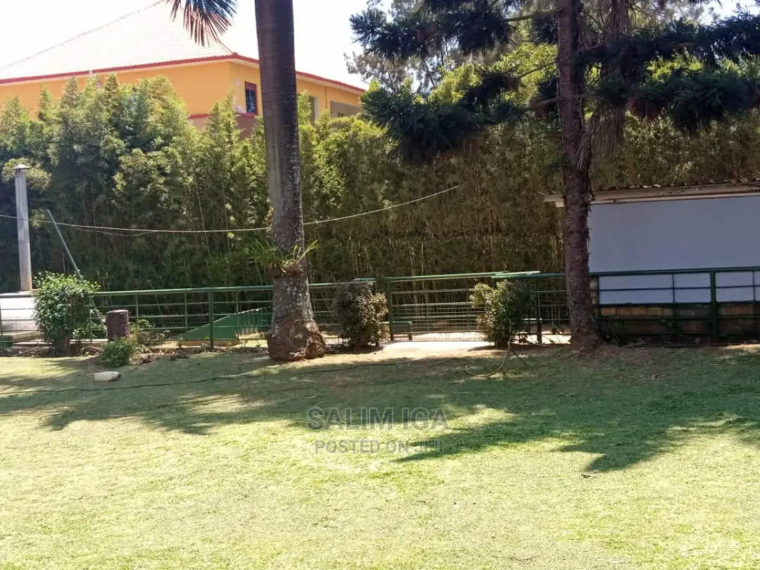 4bdrm Bungalow in Kololo Property, Central Division for Rent