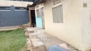 Photo - Genuine Plot