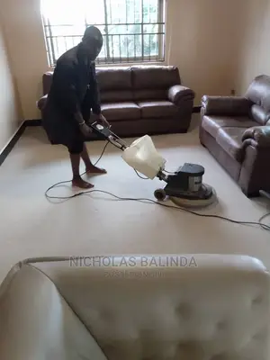 Detailed Carpet Cleaning