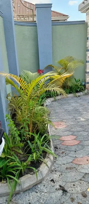Compound Designing Services to Beautify Your Outdoors
